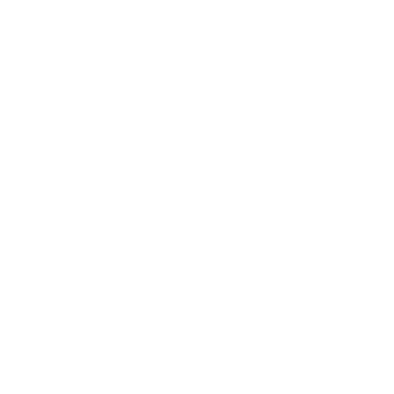 Press-foto.se - Logo White PNG